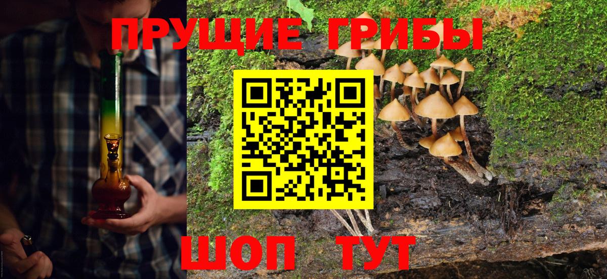 Псилоцибиновые грибы прущие грибы  Псилоцибиновые грибы прущие грибы  Среднеуральск  Вход с VPN 
